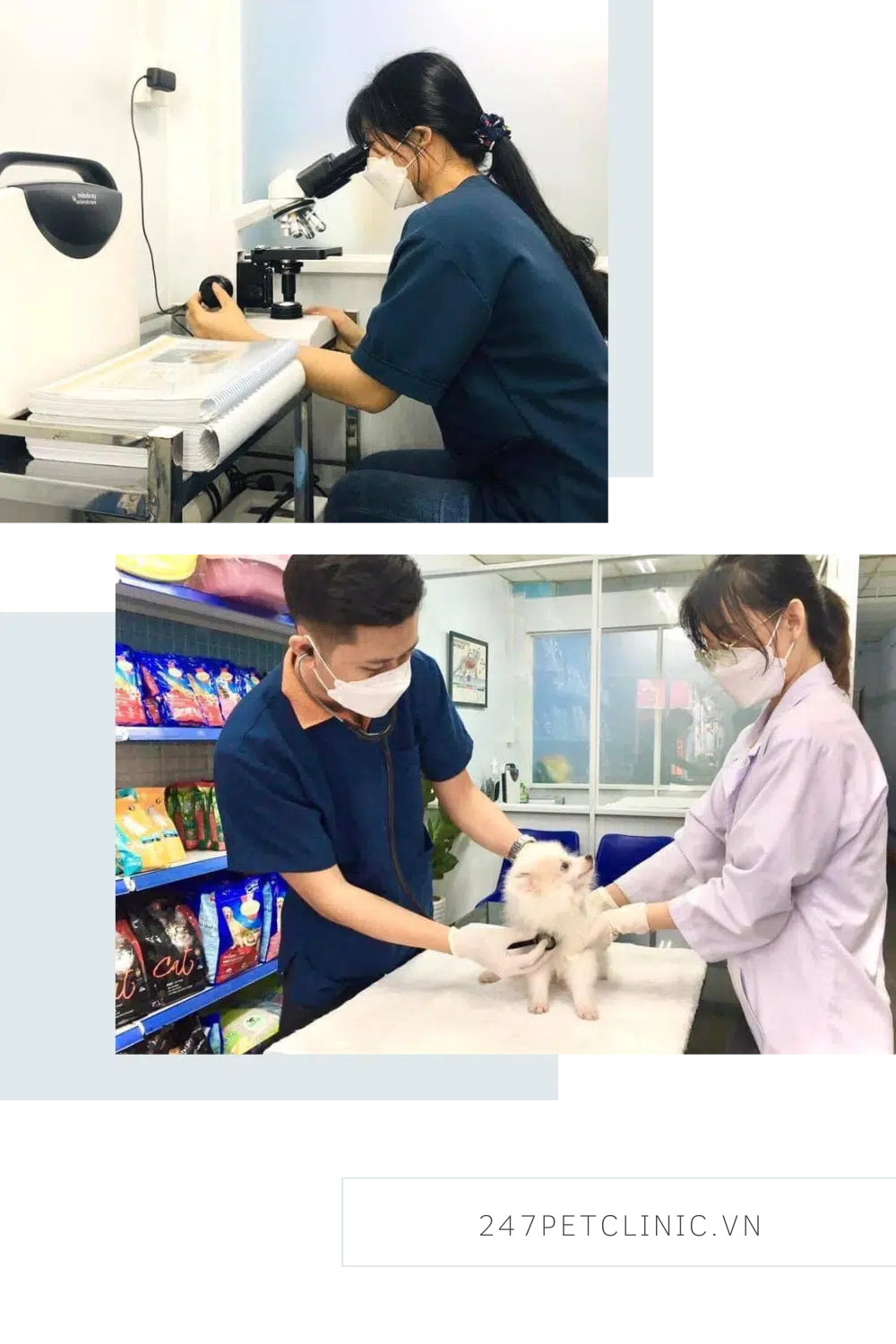 Giới thiệu 2 thú y 24/7 Thủ Đức Pet Clinic, Quận 9 HCM